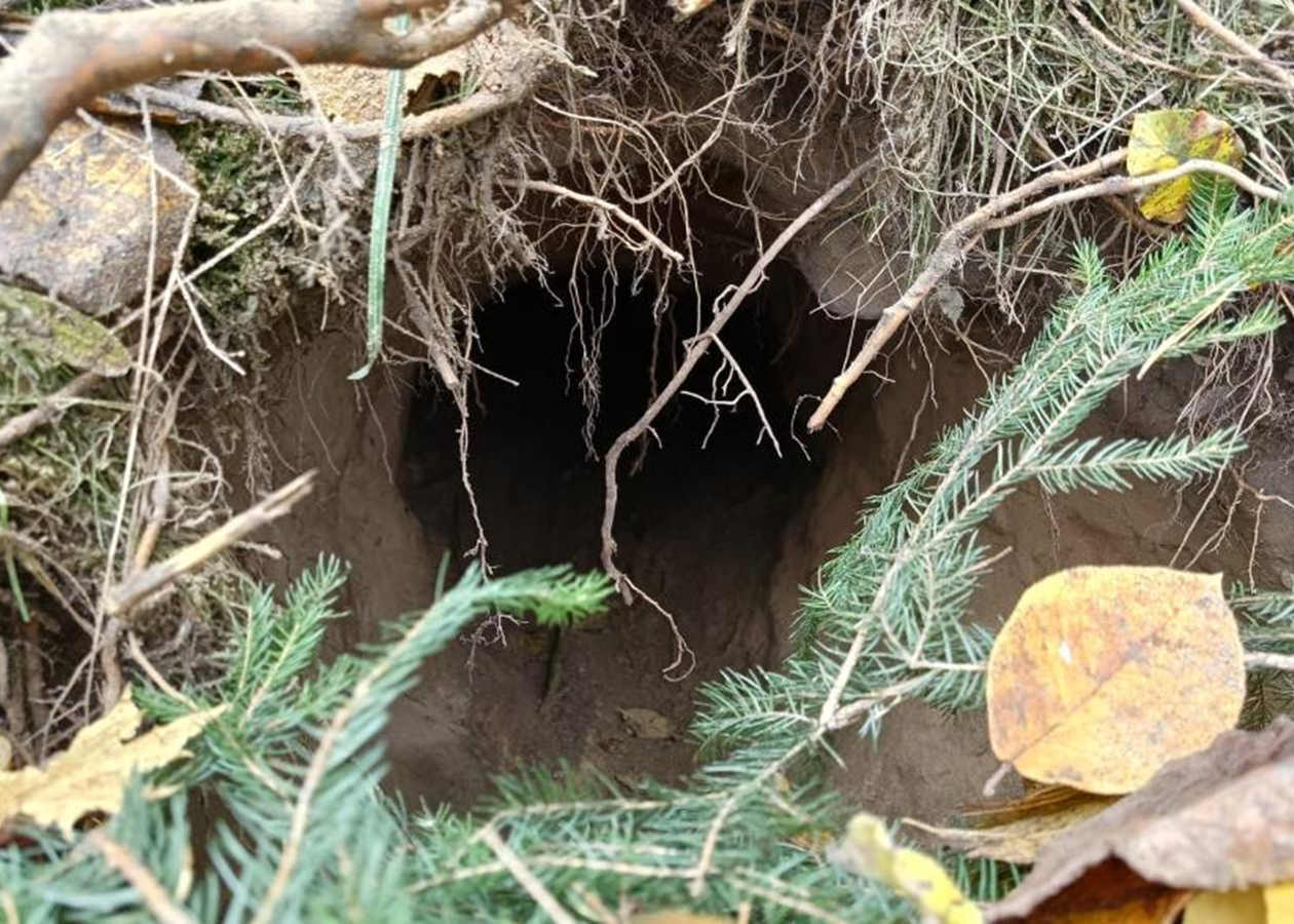 Тест-драйвНа кордоні між Польщею та Білоруссю виявили тунель