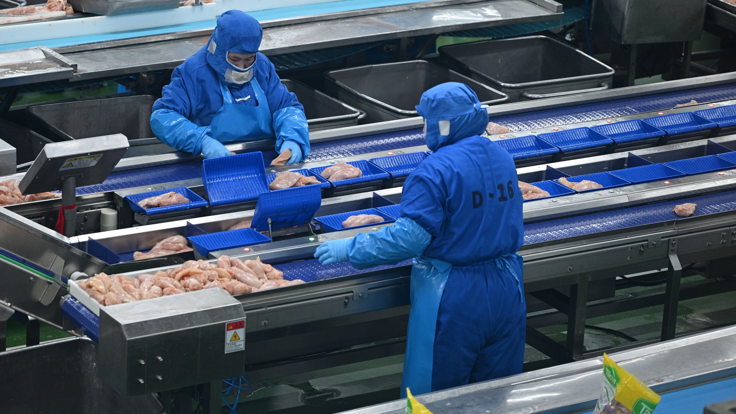 Український агрогігант виходить на новий рівень: МХП купує одного з найбільших виробників курятини в Греції