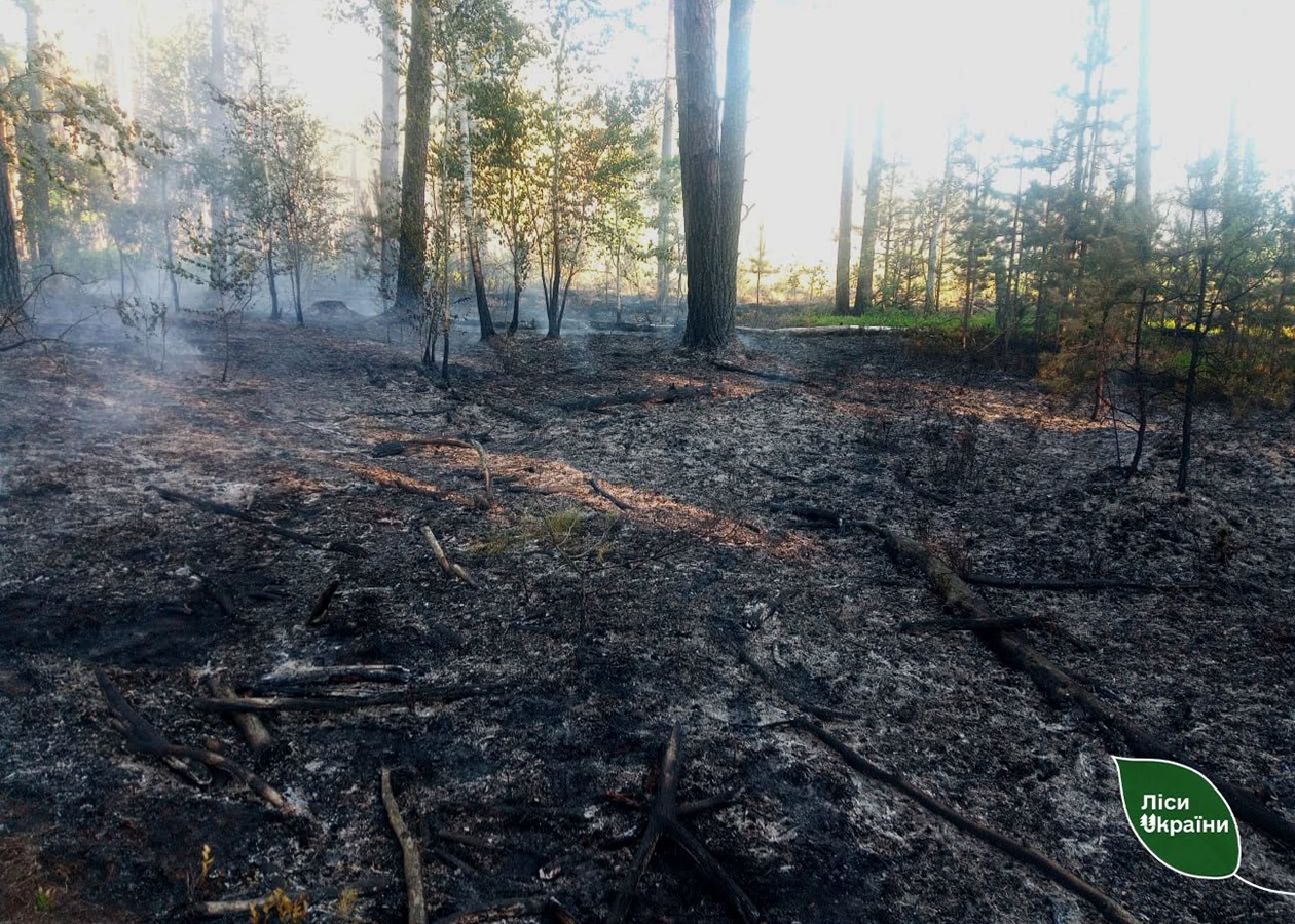 На Житомирщині російські дрони спричинили п’ять лісових пожеж