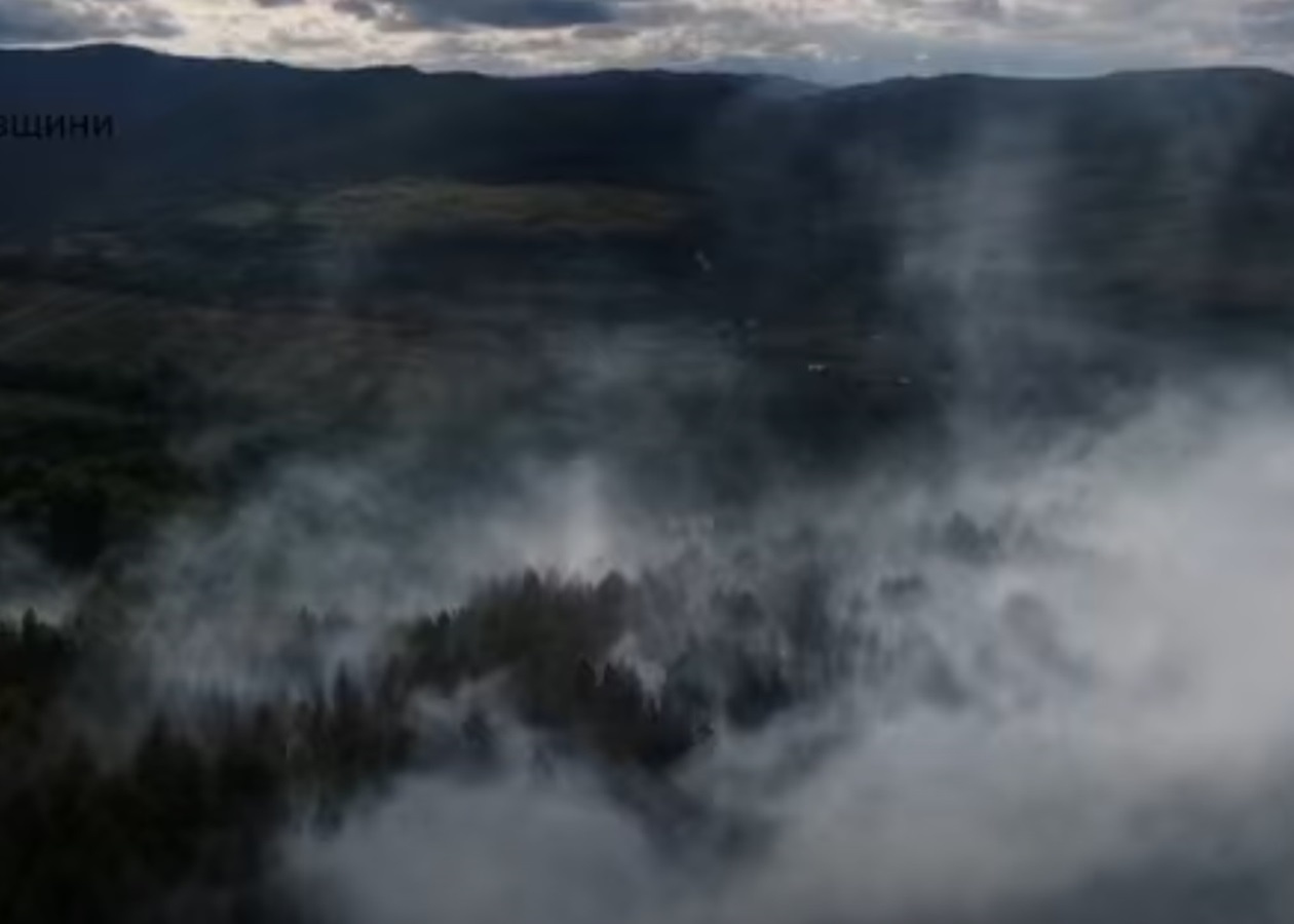 На Прикарпатті другий день не можуть загасити лісову пожежу